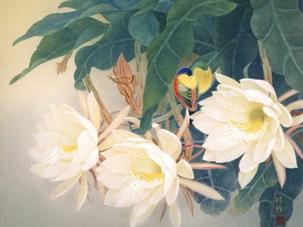 蘇服務 香濃夢酣 38x45.5cm