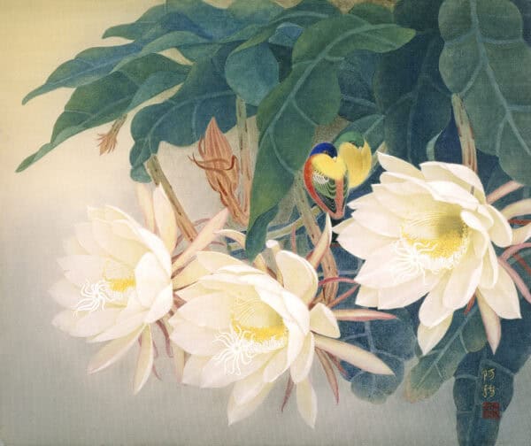 蘇服務 香濃夢酣 38x45.5cm