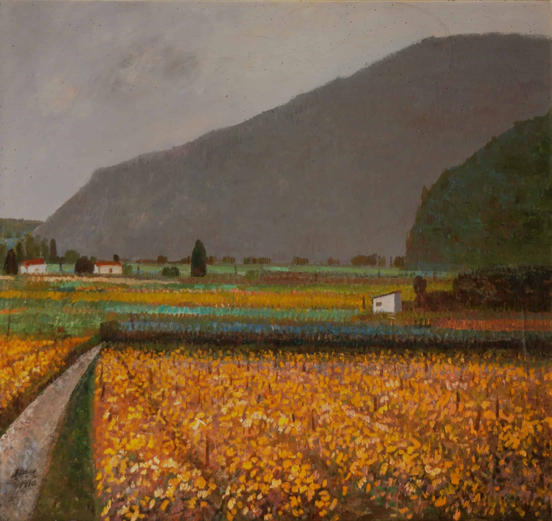 遠山下的油菜花田